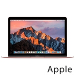 Ремонт Apple MacBook Mid в Липецке